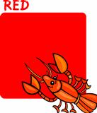 Color Red and Crayfish Cartoon