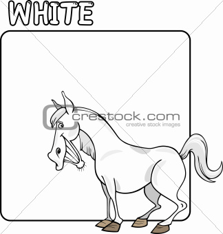 Color White and Horse Cartoon