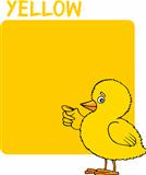 Color Yellow and Chick Cartoon