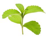 sugar leaf, stevia rebaudiana leaves