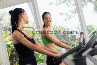 Pretty young girls training on fitness bikes in gym