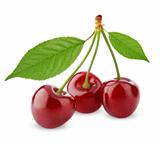 Three sweet cherries with leaves isolated on white