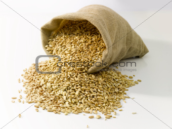 Bag of wheat