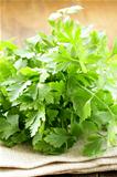 green, organic parsley  on wooden table