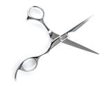 Professional salon scissors
