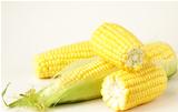 fresh corn vegetable  on white background