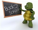 tortoise with school chalk board back to school