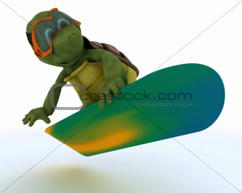  tortoise riding a snowboard