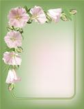 Floral frame with mallow flowers.