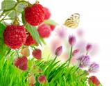 Berries And Grass