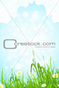 Background with Grass and Sky
