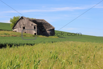 Dilapidated Farm House