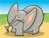 Elephant Cartoon