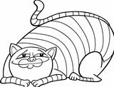 tabby fat cat cartoon for coloring
