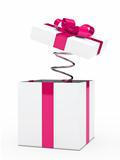 gift box white pink