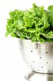 green lettuce in metal colander on a white background