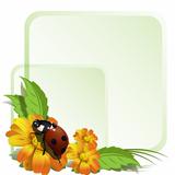 Ladybird and flowers
