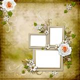 Vintage background with 3 frames and roses 