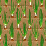 onion sprout, shoot vegetable patches in row seamless background
