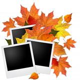 Blank photo frame with autumn leaves on white