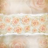 Old Torn Paper Background. Texture with a Roses