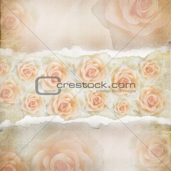 Old Torn Paper Background. Texture with a Roses