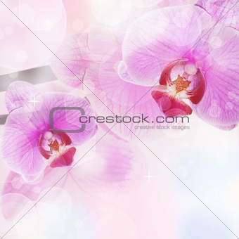 Orchid Flower background, tender blur colors and bokeh 