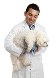 Veterinarian carrying a small dog