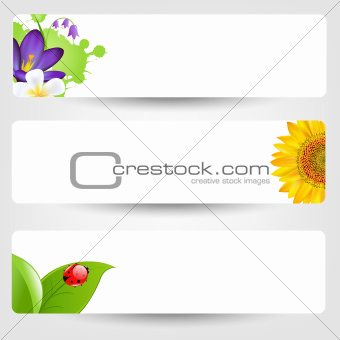 Banners With Flowers And Ladybug