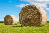 Two big hay bale rolls in a green field