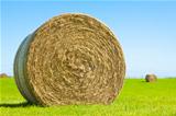 Big hay bale roll in a green field