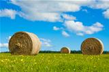 Round hay bales in a green field
