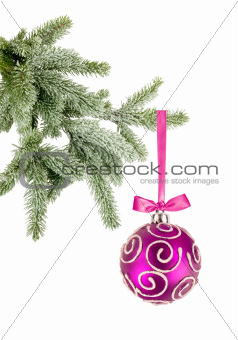 Christmas ball on the tree isolated on white background