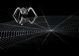 lurking metallic spider and web