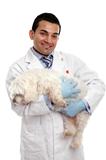 Veterinarian carrying a pet dog