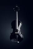 Elegant black violin 