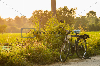 bicycle at sunny day