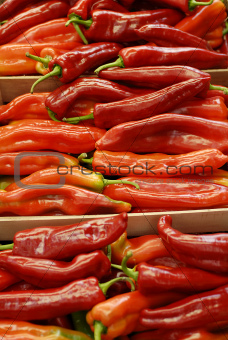 Red chilli peppers at market stall, close-up