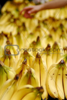 Bunch of ripe bananas