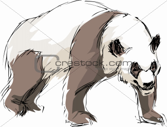 drawn a panda