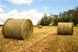 Rural landscape with hay bales
