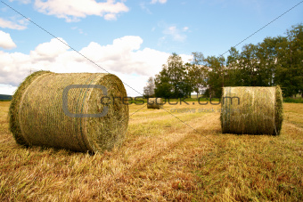 Rural landscape with hay bales