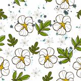 Seamless texture with white flower.
