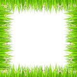 Square Grass Frame