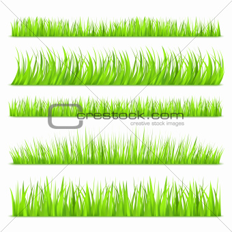 Summer Green Grass