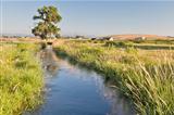 irrigation ditch in Colorado