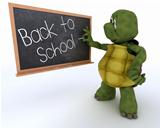 tortoise with school chalk board back to school