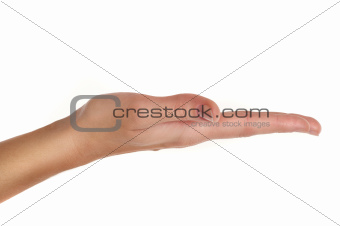 female hand holding or showing something