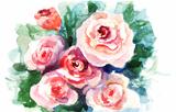 Roses flowers, watercolor painting 