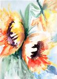 Sunflower in watercolor 